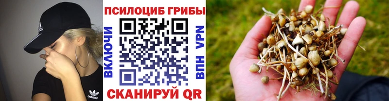 купить   Беломорск  Галлюциногенные грибы ЛСД 